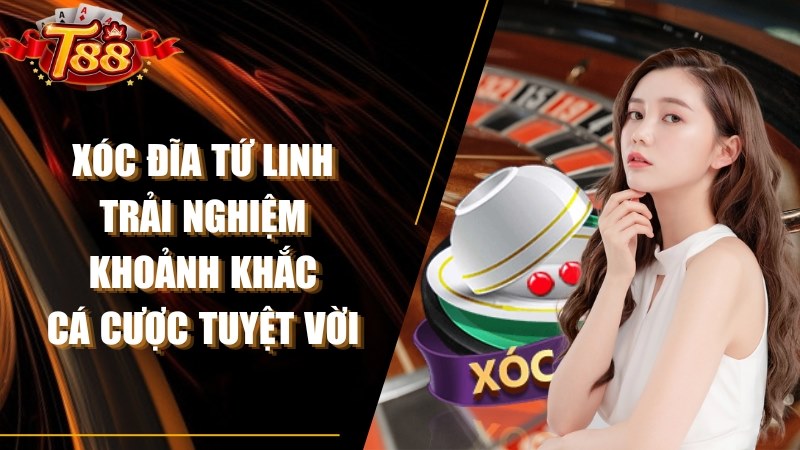 Giới Thiệu Chung Về Xóc Đĩa T88