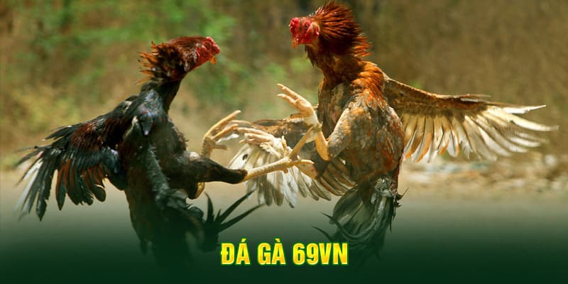 Trò chơi truyền thống của nhiều quốc gia