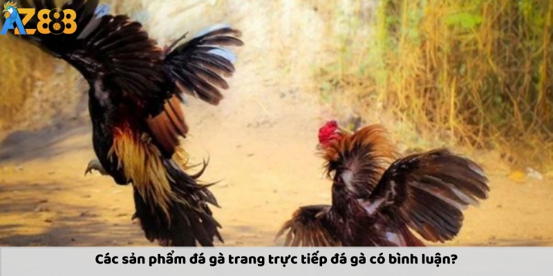 Các sản phẩm đá gà