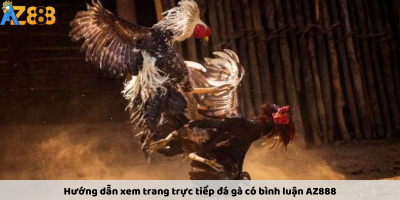 Hướng dẫn xem