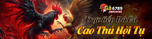Tại Sao Bạn Cần Link Xem Đá Gà Thomo Mới Nhất Từ Ga6789