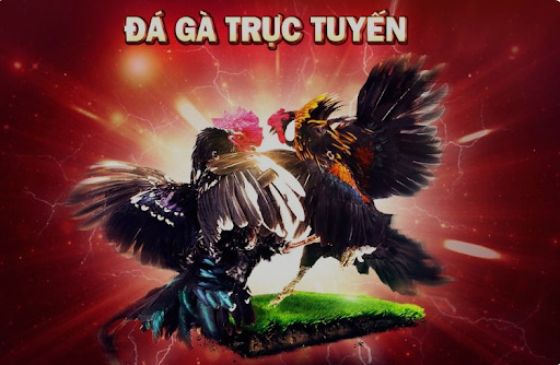 Ưu Điểm Vượt Trội Của Đá Gà Thomo Trên Ga6789
